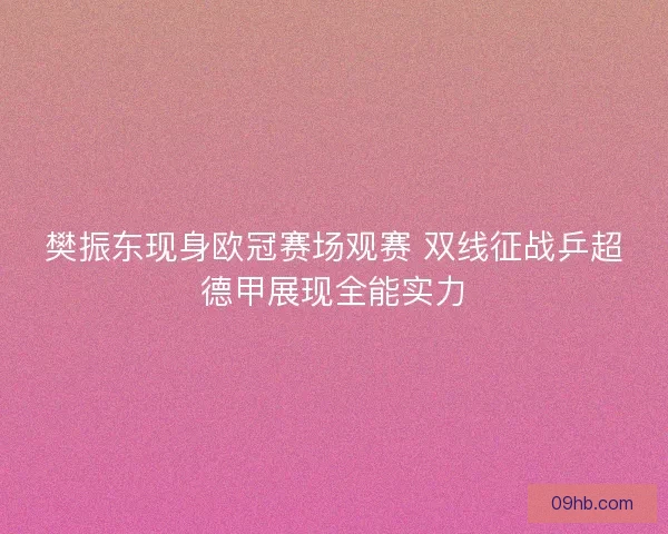 樊振东现身欧冠赛场观赛 双线征战乒超德甲展现全能实力