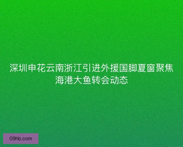 深圳申花云南浙江引进外援国脚夏窗聚焦海港大鱼转会动态