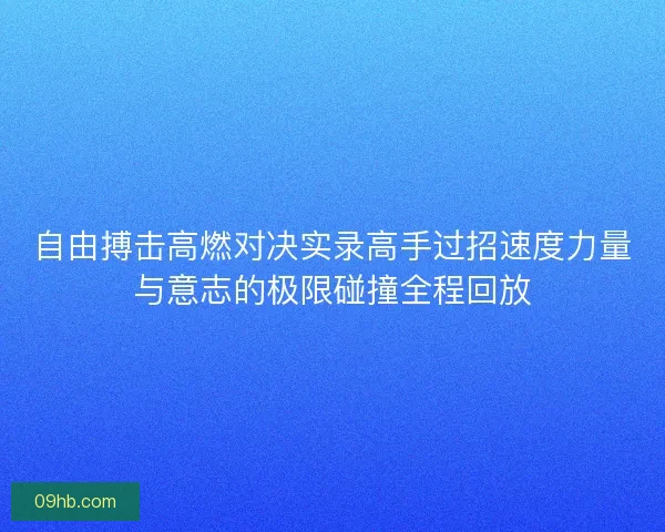 自由搏击高燃对决实录高手过招速度力量与意志的极限碰撞全程回放